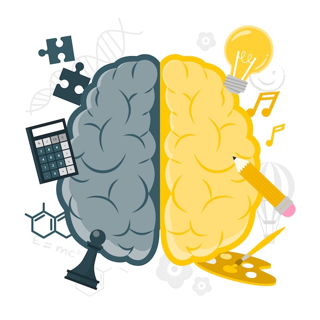 大脑左右半球功能扁平插画