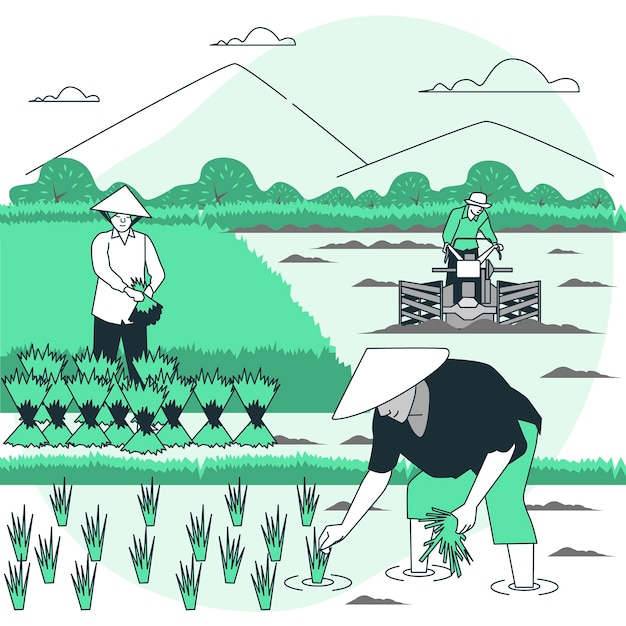 稻田插秧种田扁平插画