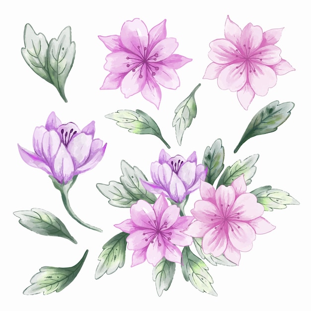 水彩风格花朵花卉元素