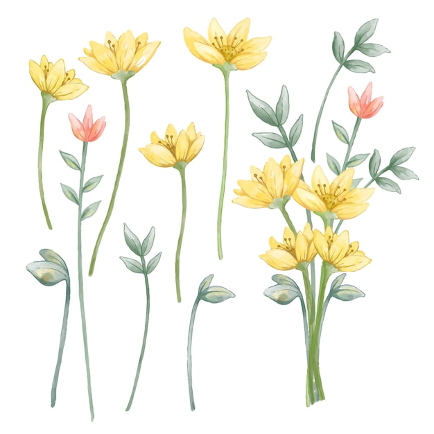 水彩风格花朵花卉元素