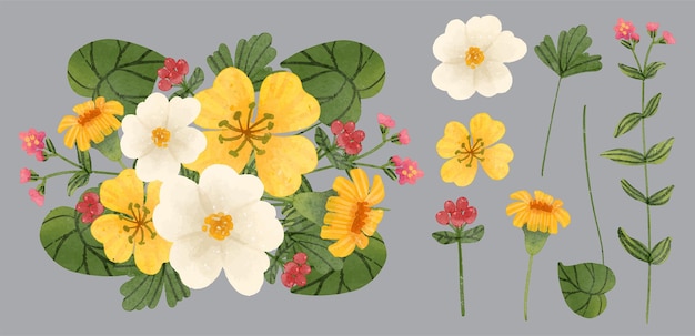 水彩风格花朵花卉元素