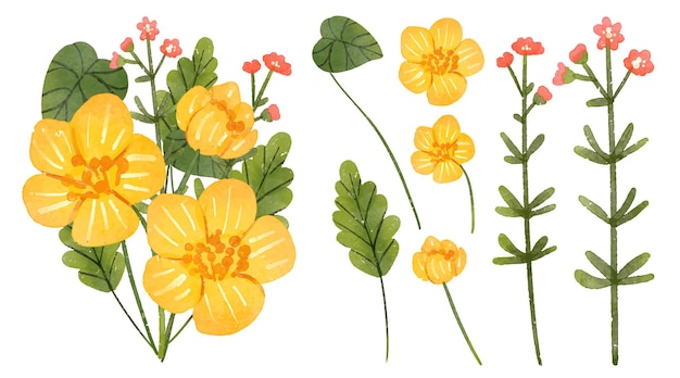 水彩风格花朵花卉元素