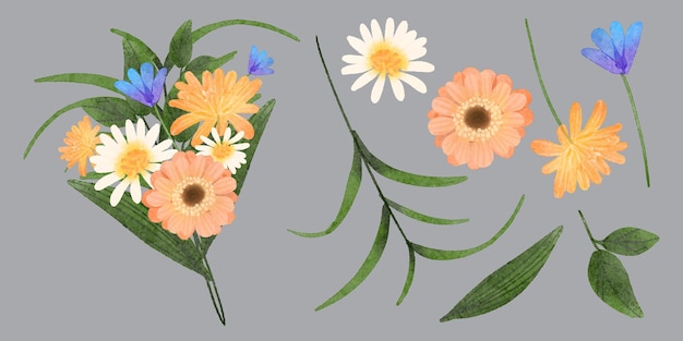 水彩风格花朵花卉元素