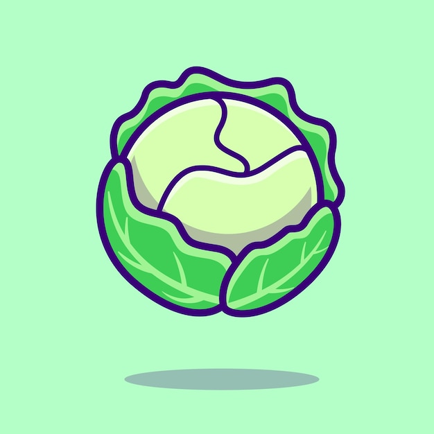 卷心菜甘蓝蔬菜卡通插画