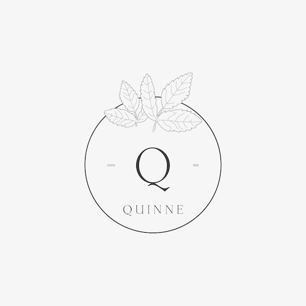 字母q植物花朵标志logo