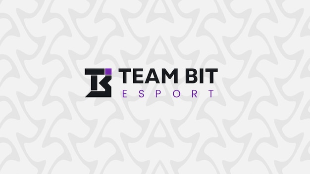 字母tb电竞游戏队标队徽标志logo