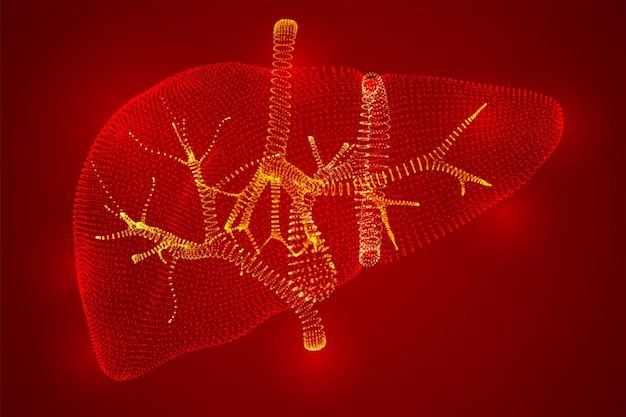 科技感肝脏内脏背景