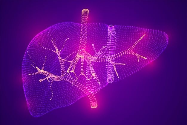 科技感肝脏内脏背景