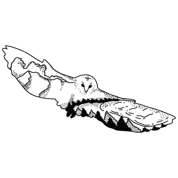 双重曝光效果猫头鹰插画