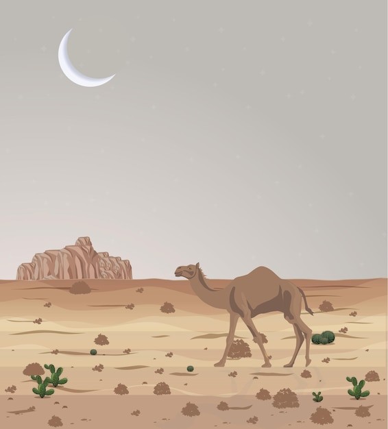 沙漠戈壁夜晚月亮骆驼风景插画