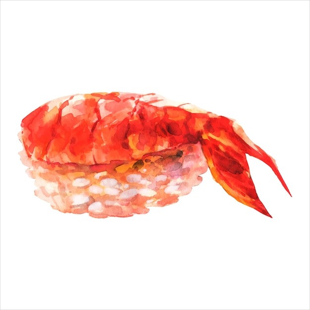水彩寿司日式料理食物插画