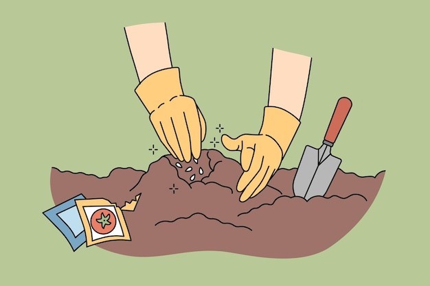 播种种植描边插画