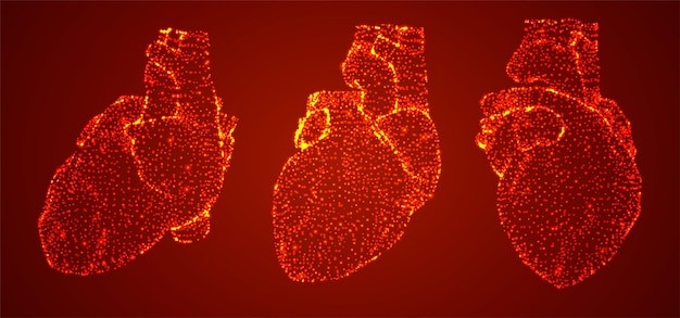 医疗科技心脏结构