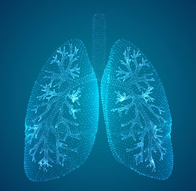 医疗科技肺部结构