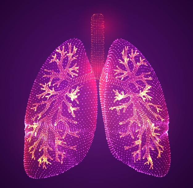 医疗科技肺部结构