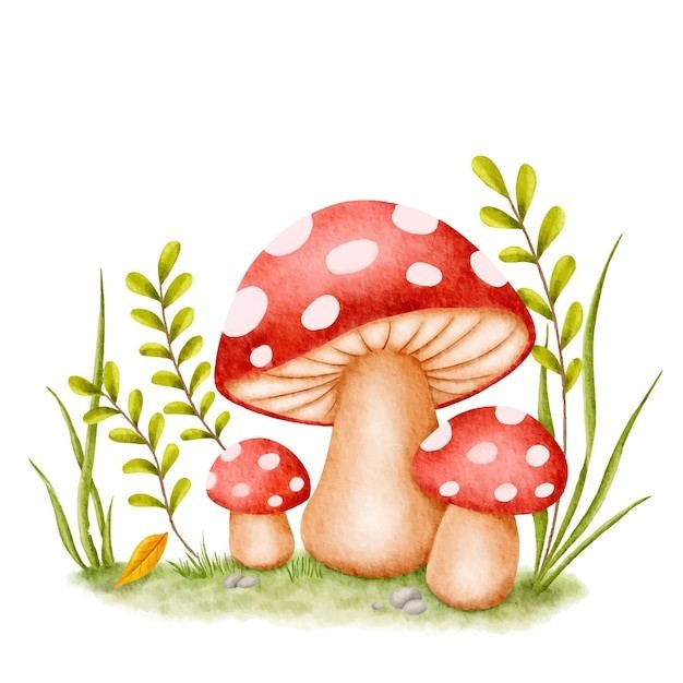 红色蘑菇插画