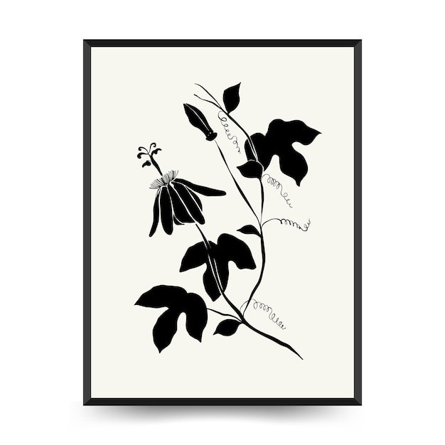 现代抽象黑白花朵花卉无框画插画