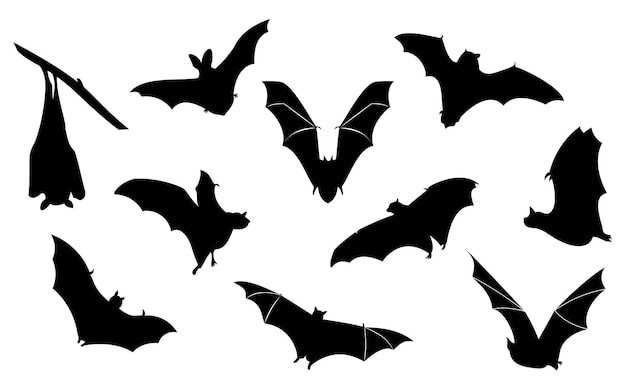 蝙蝠剪影
