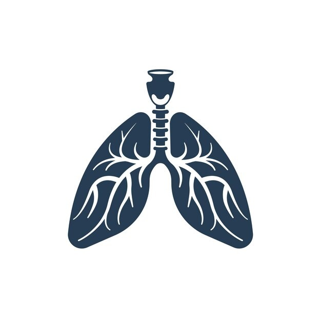 肺部结构剪影