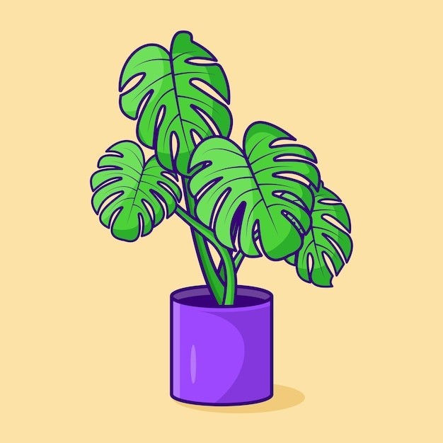 龟背竹盆栽插画