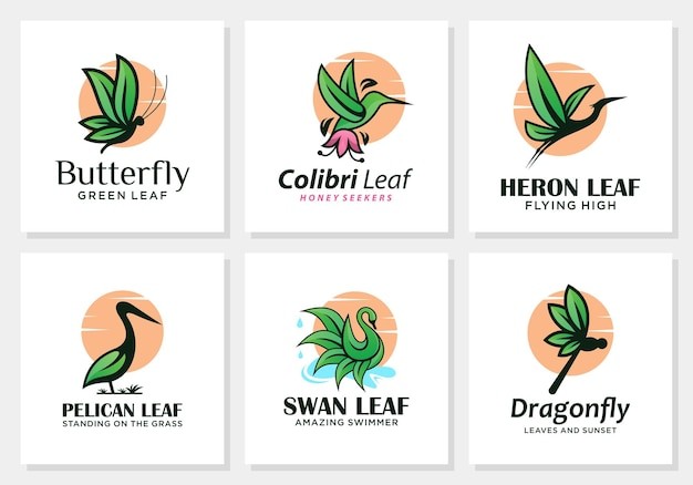 蝴蝶蜂鸟鹳鹈鹕天鹅蜻蜓