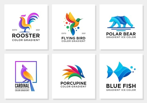 公鸡鸟熊鱼豪猪