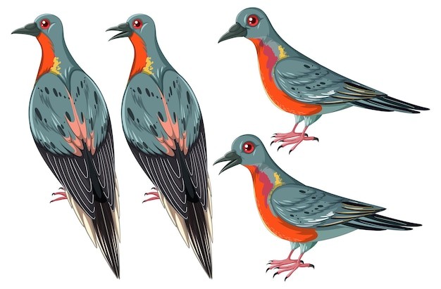 旅鸽灭绝动物插画