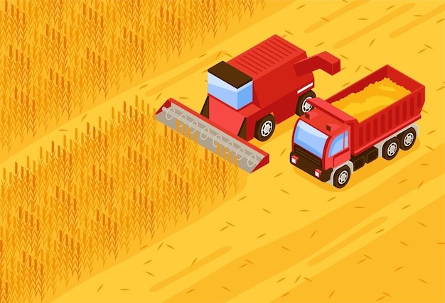 收割机收割麦子插画