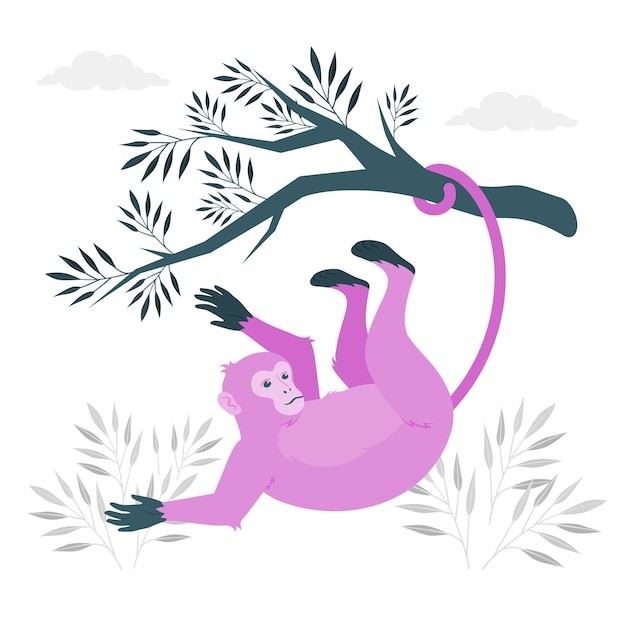 猴子挂在树上插画