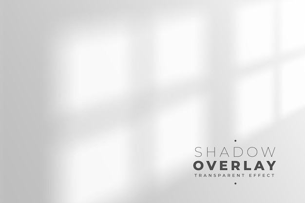 阳光窗户投影白色背景