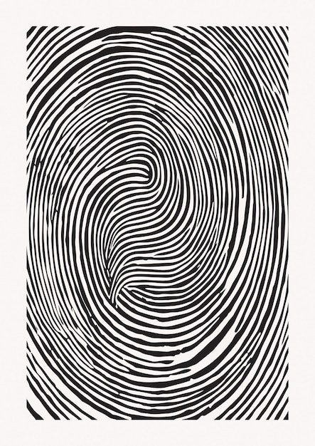 线条年轮旋涡指纹花纹