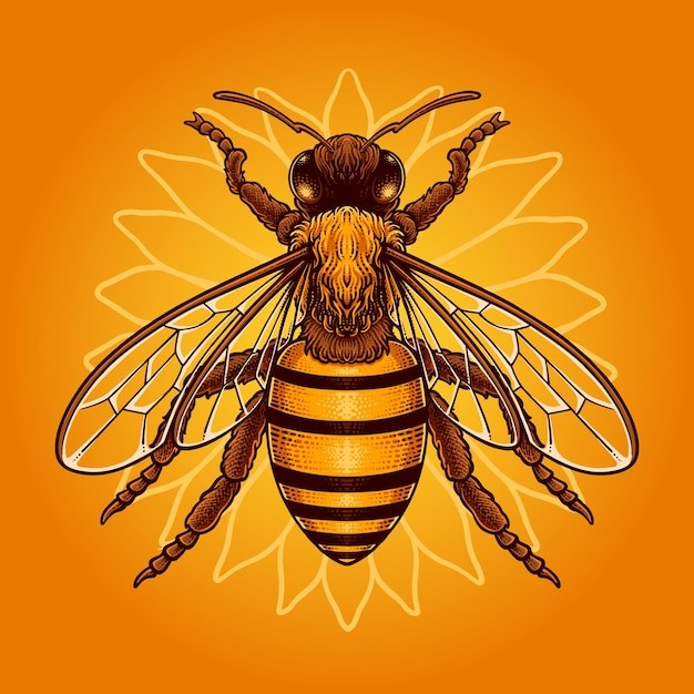 蜜蜂插画