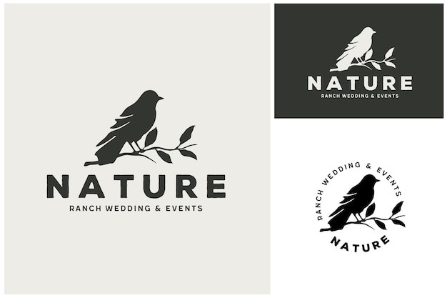 树枝上的鸟标志logo