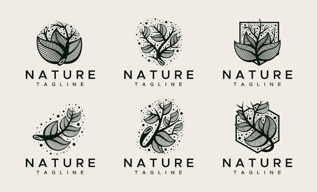 花朵植物叶子标志logo