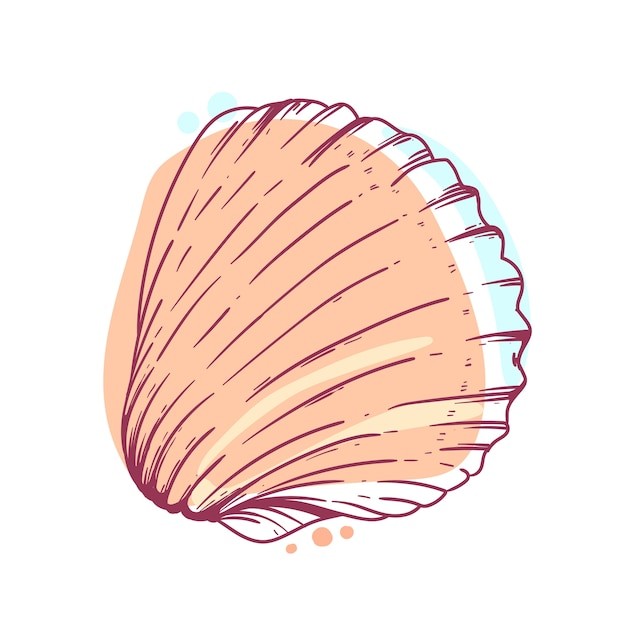 手绘贝壳海螺线稿