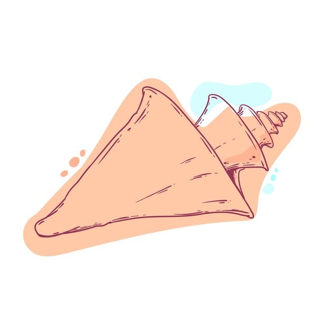 手绘贝壳海螺线稿