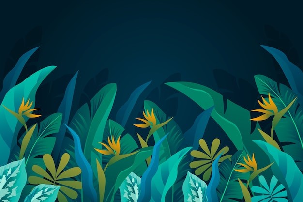 热带阔叶植物叶子树叶背景