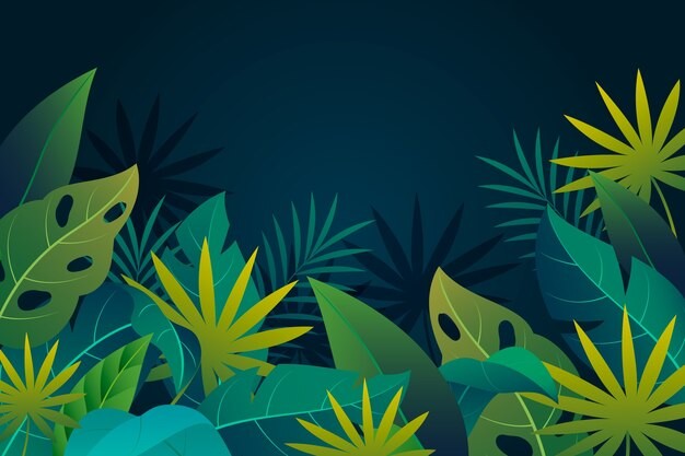 热带阔叶植物叶子树叶背景