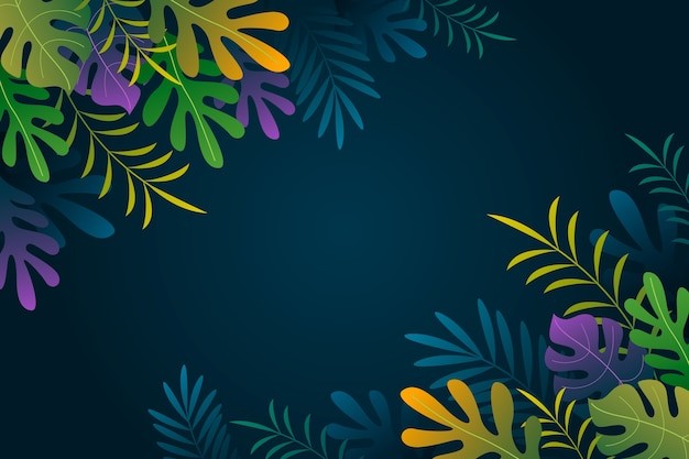 热带阔叶植物叶子树叶背景