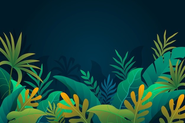 热带阔叶植物叶子树叶背景