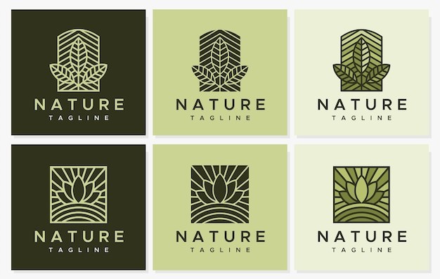 极简植物叶子树叶抽象线条标志logo