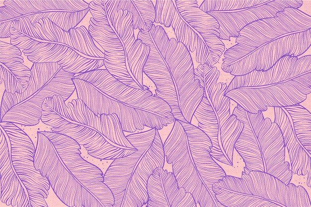 手绘花卉轮廓背景