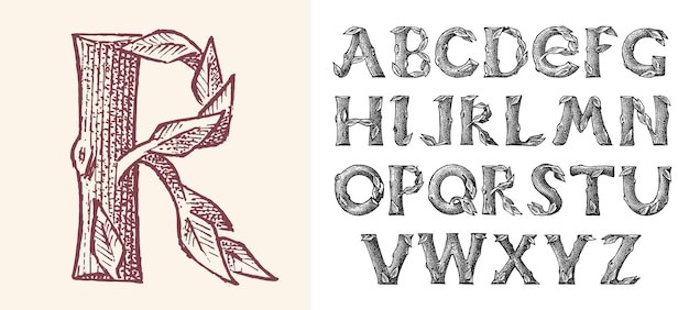 树枝木头风格英文字母字体