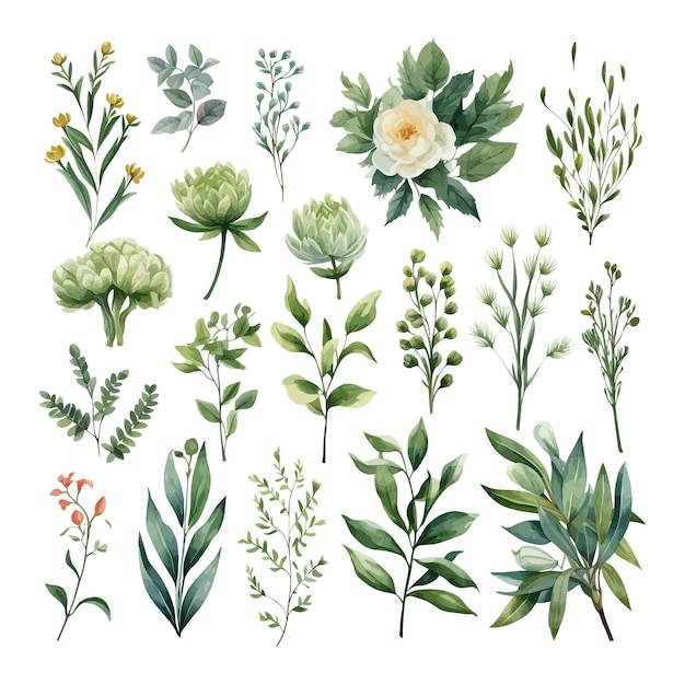 手绘水彩花朵植物叶子元素