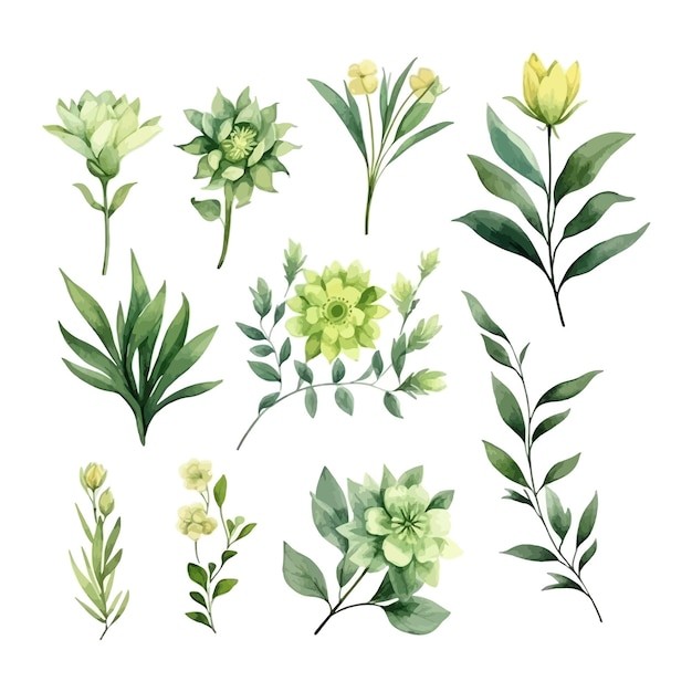 手绘水彩花朵植物叶子元素