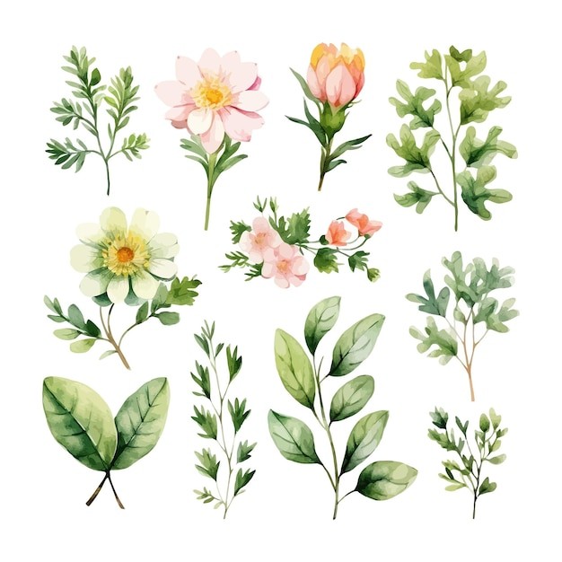 手绘水彩花朵植物叶子元素
