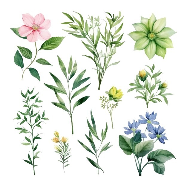 手绘水彩花朵植物叶子元素