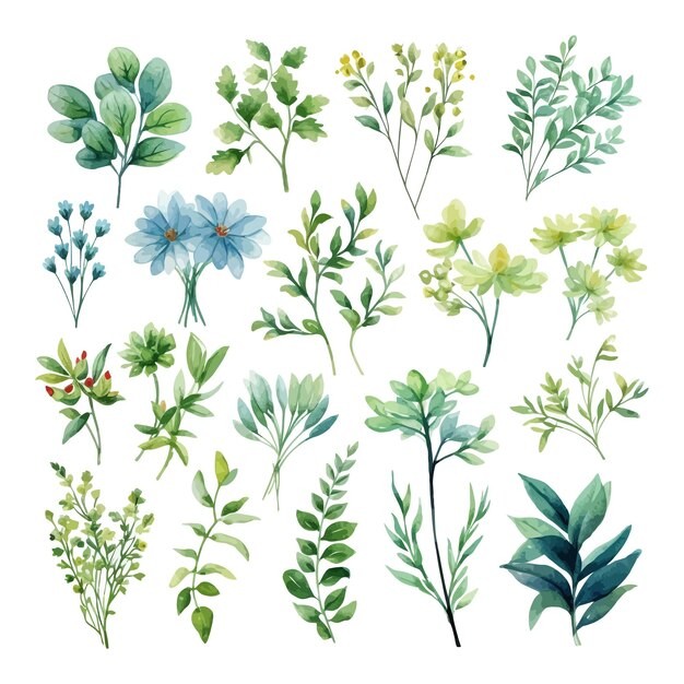 手绘水彩花朵植物叶子元素