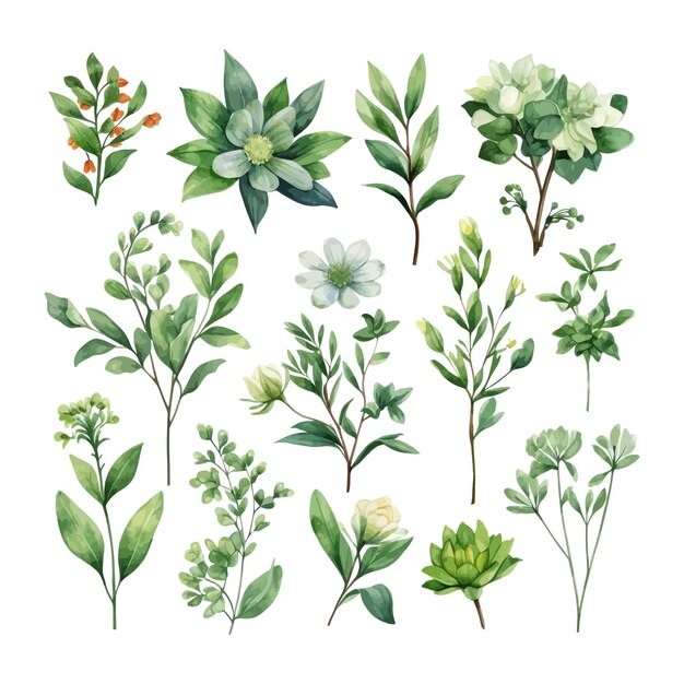 手绘水彩花朵植物叶子元素