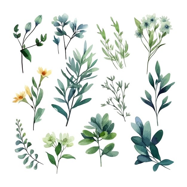 手绘水彩花朵植物叶子元素